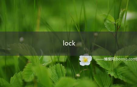 lock（韩国调查公司RESEARCH INTERNATIONAL）