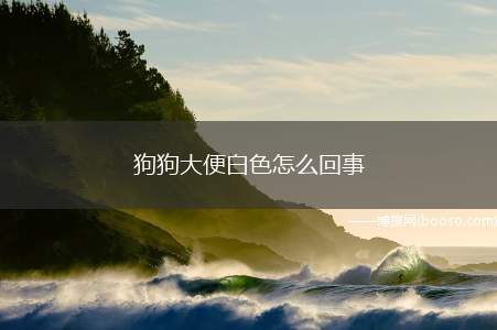 狗狗大便白色怎么回事（狗狗大便呈白色有很多原因,主要有以下几点）