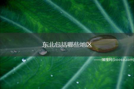 东北包括哪些地区（东北包括辽宁省、吉林省、黑龙江省以及内蒙古和河北部分这四个地）