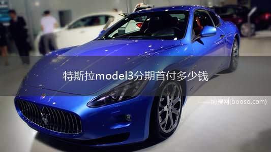 特斯拉model3分期首付多少钱 分期首付8万