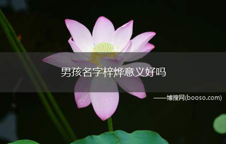 男孩名字梓烨意义好吗(宝宝命理的名字才是好名字)