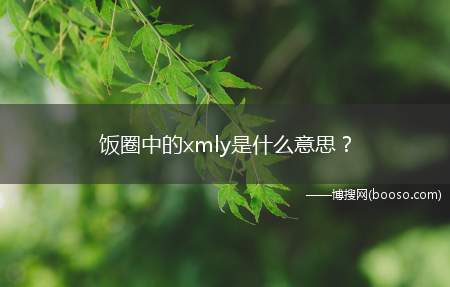 饭圈中的xmly是什么意思(饭圈xmly指的是喜马拉雅的意思)