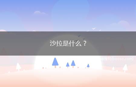 沙拉是什么？