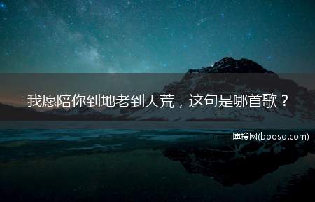 我愿陪你到地老到天荒，这句是哪首歌？