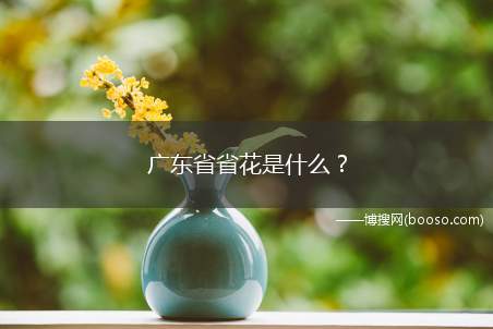 广东省省花是什么？