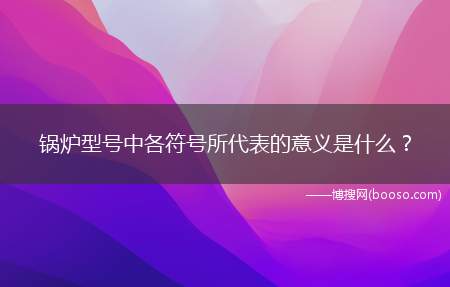 锅炉型号中各符号所代表的意义是什么？