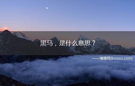 黑马，是什么意思？