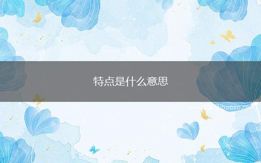 特点是什么意思