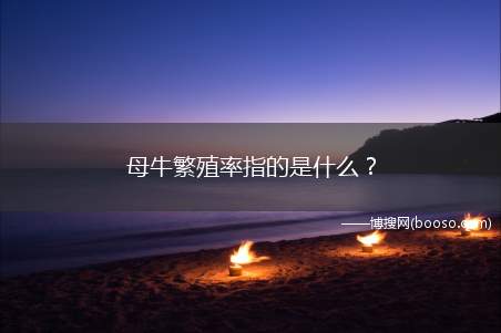 母牛繁殖率指的是什么？