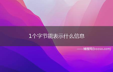 1个字节能表示什么信息