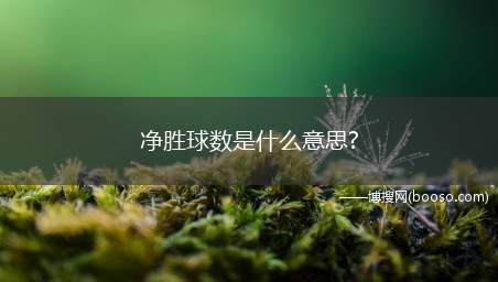 净胜球数是什么意思?