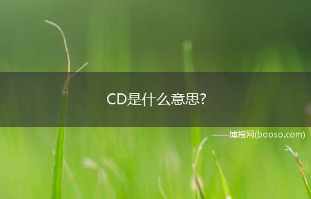 CD是什么意思?