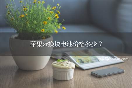 苹果xr换块电池价格多少？