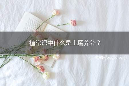 植常识中什么是土壤养分？