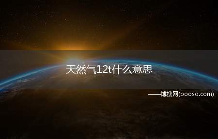 天然气12t什么意思