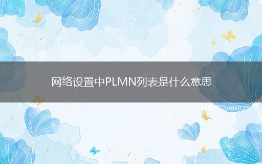 网络设置中PLMN列表是什么意思