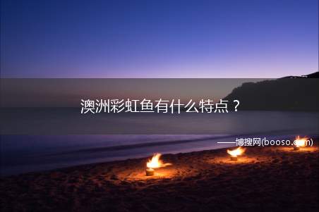 澳洲彩虹鱼有什么特点？