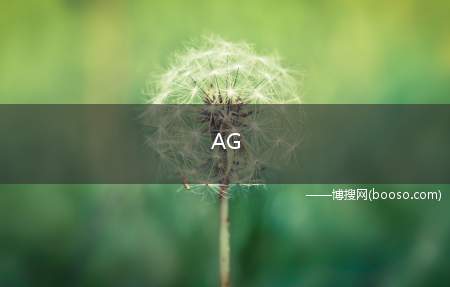 AG 是什么意思?