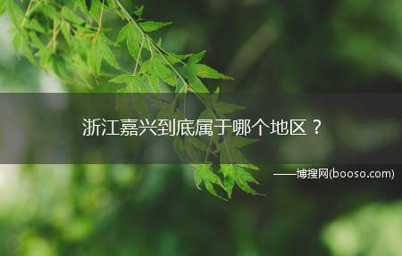 浙江嘉兴到底属于哪个地区？