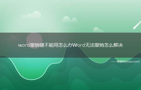 word撤销键不能用怎么办Word无法撤销怎么解决