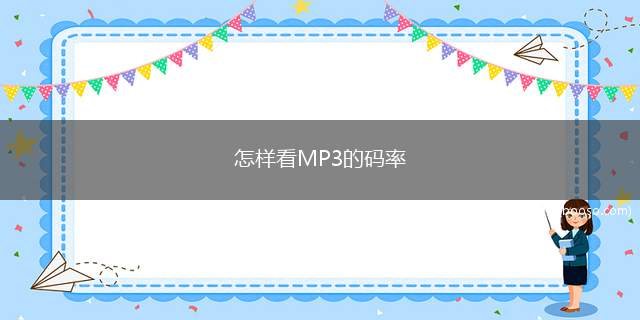 怎样看MP3的码率