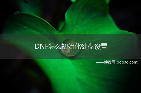 DNF怎么初始化键盘设置