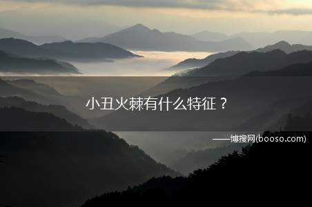 小丑火棘有什么特征？