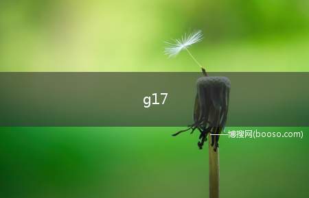 g17 代码是什么意思