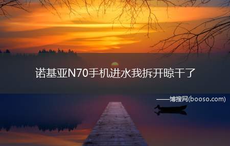 诺基亚N70手机进水我拆开晾干了 开机手机白屏幕 有水印在屏幕里面 有声音 可以开机 就是白屏 没画面