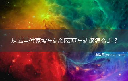 从武昌付家坡车站到宏基车站该怎么走？