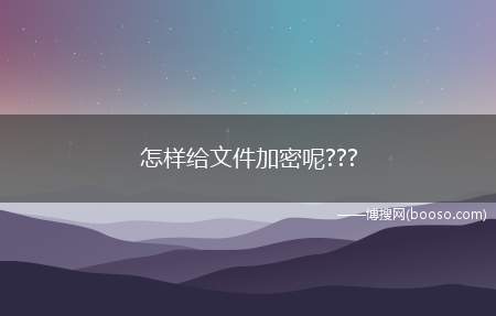 怎样给文件加密呢???