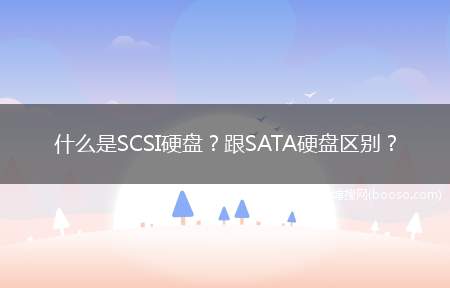 什么是SCSI硬盘？跟SATA硬盘区别？