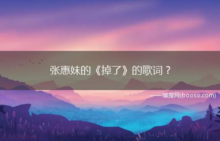 张惠妹的《掉了》的歌词？