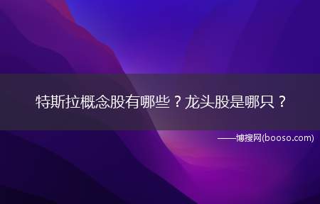 特斯拉概念股有哪些？龙头股是哪只？