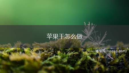 请问苹果干怎么做比较好