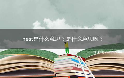 nest是什么意思是什么意思啊(nestn)