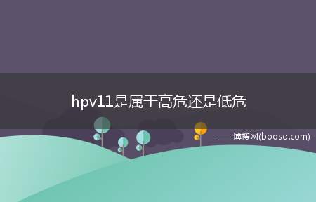 hpv11是属于高危还是低危