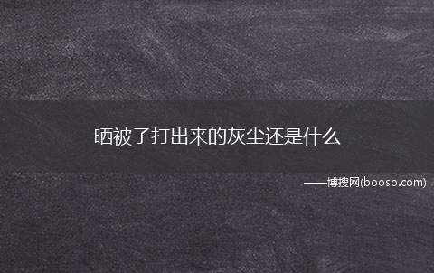 晒被子打出来的灰尘还是什么（羽绒被与羊毛被千万不可拿去晒太阳）