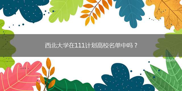 西北大学在111计划高校名单中吗(在西北大学是首批入选“2011计划“211工程”)