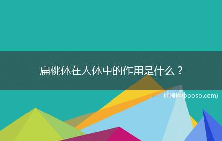 什么样的人适合割掉扁桃体(切除扁桃体会对人有什么危害)