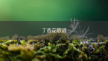 丁香花歌谱(看看吧你说你最爱丁香花因为你的名字就是它多么忧郁的花多愁善感)