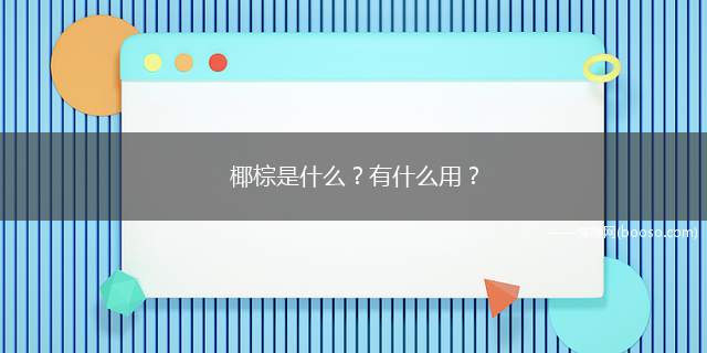 椰棕是什么有什么用(椰棕垫有透气、防腐、防虫蛀霉点等优点)