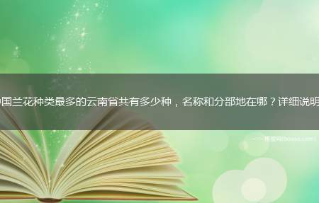 中国兰花有哪些主要种类(云南省昆明市兰花交易市场在哪里)