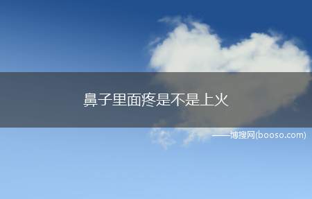 鼻子里面疼是不是上火(鼻子里面疼是不是上火了)