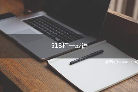 513打一成语（513谐音“我一生”,顾有“自始至终”这一说法）