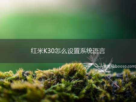 红米K30怎么设置系统语言（大家想要修改手机的系统语言如何操作）