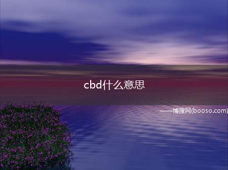 cbd什么意思（三大国家级CBD发展势头良好）