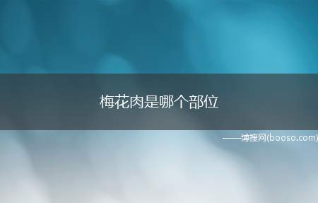 梅花肉是哪个部位（每只猪身上的这块肉只有五六斤,大约有二十厘米长,横切面瘦肉占）