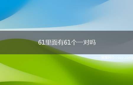 61里面有61个一对吗（61的计数单位是1,61里面有61个1。）