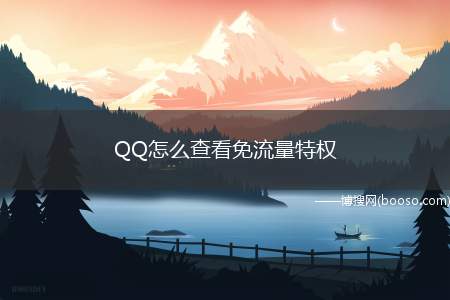 QQ怎么查看免流量特权